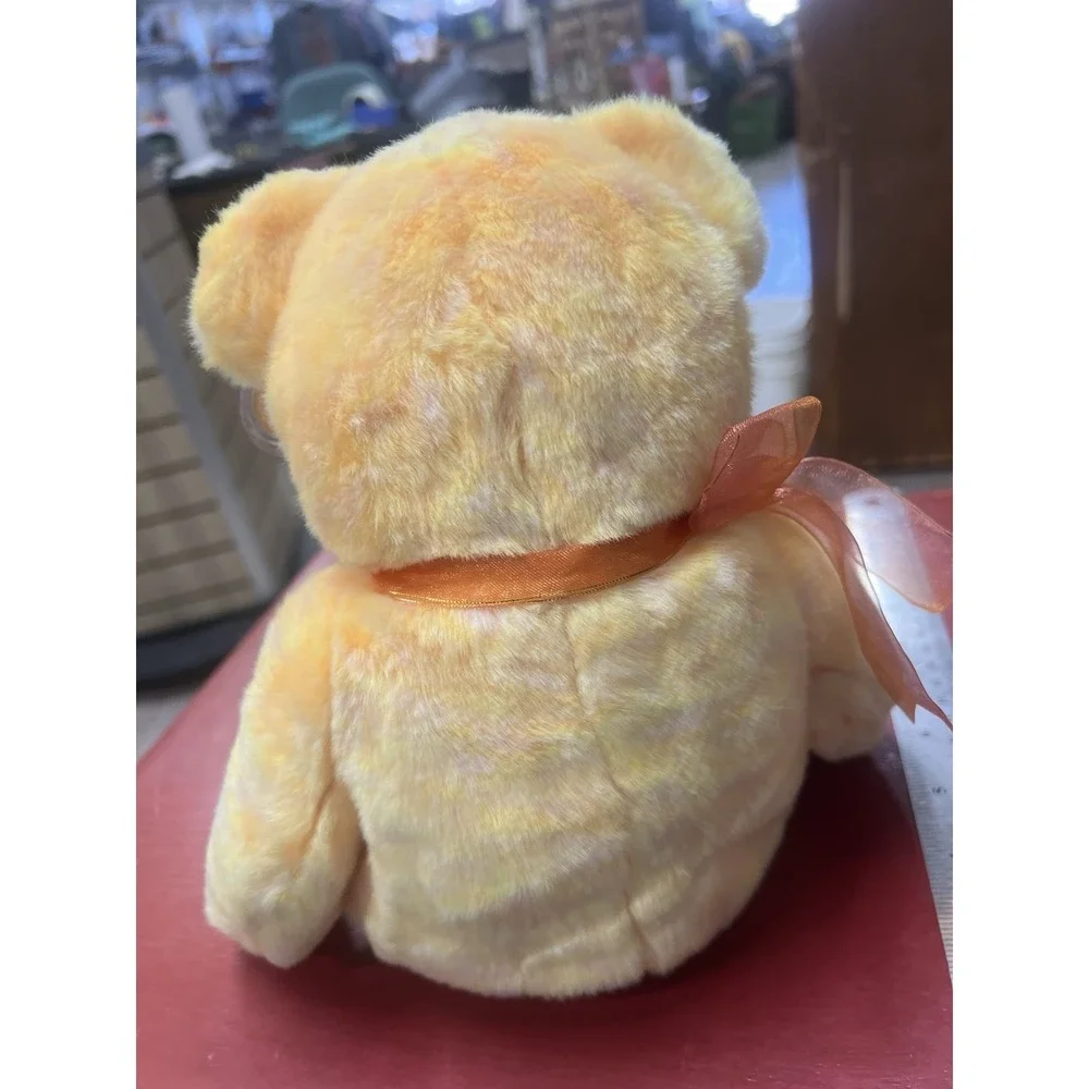 Ty Beanie Buddy Sunny the E-Bear 2001 with Tag Protector‎